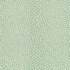 Meet your Posher, Kayla marie